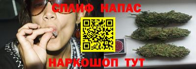 ГАЛЛЮЦИНОГЕННЫЕ ГРИБЫ Малоярославец